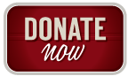 Donate Now Button